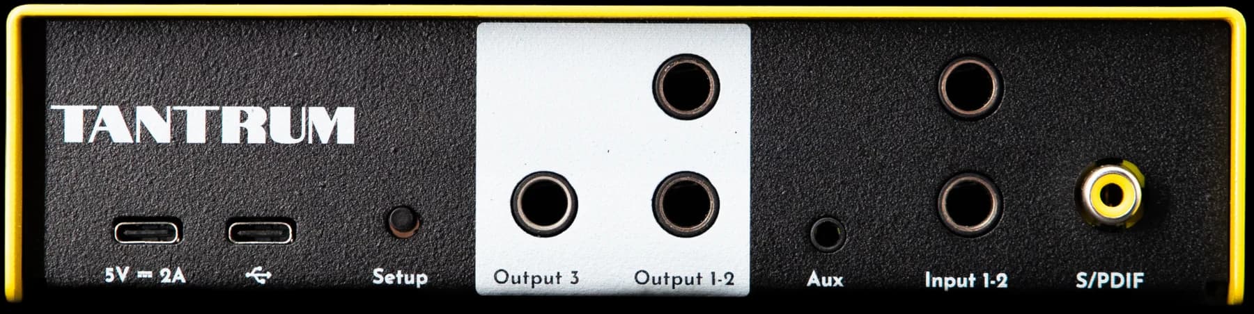 NEXUS rear panel: three outputs, stereo input, aux, S/PDIF and twin USB-C