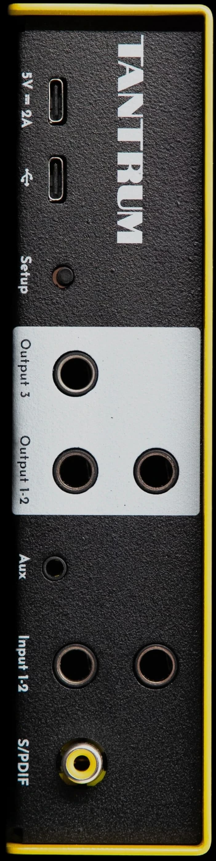 NEXUS rear panel: three outputs, stereo input, aux, S/PDIF and twin USB-C