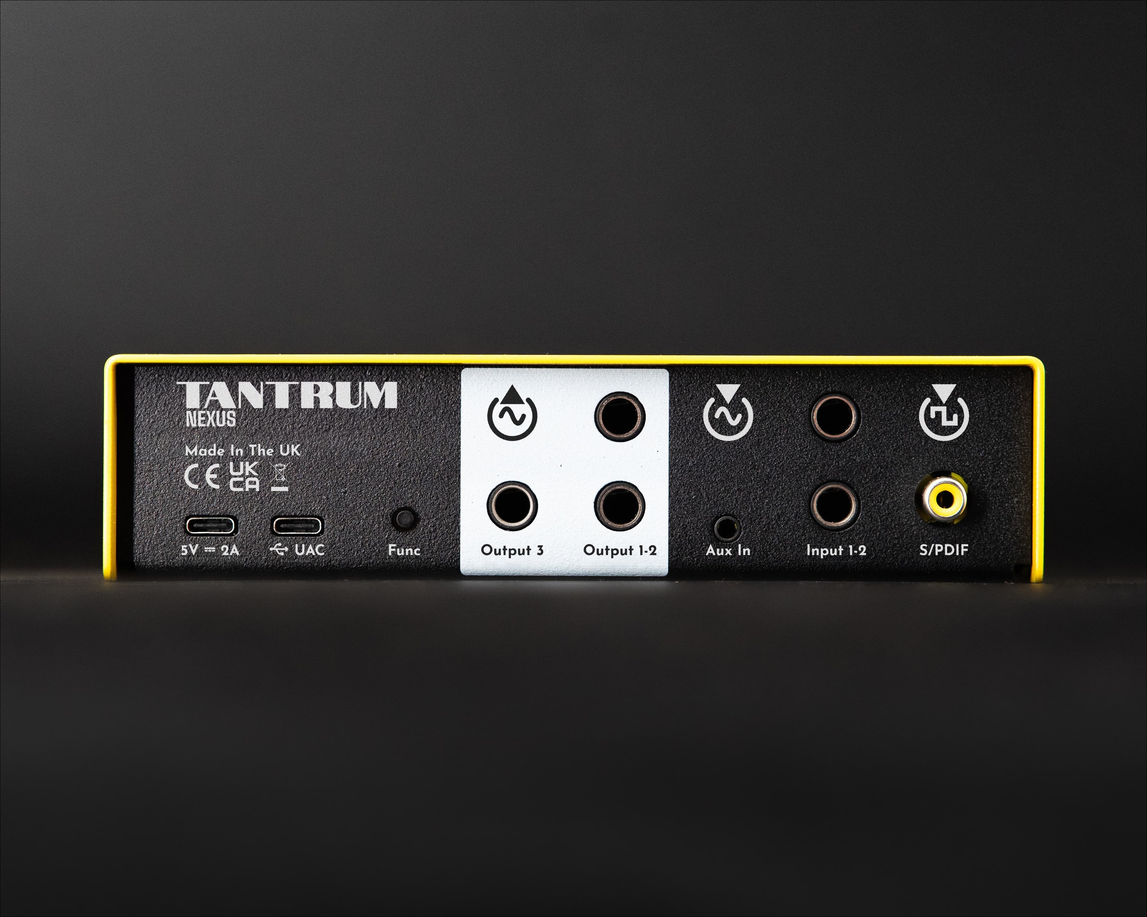 The rear panel of a small DSP speaker processor showing balanced analogue inputs and outputs, digital input and USB.